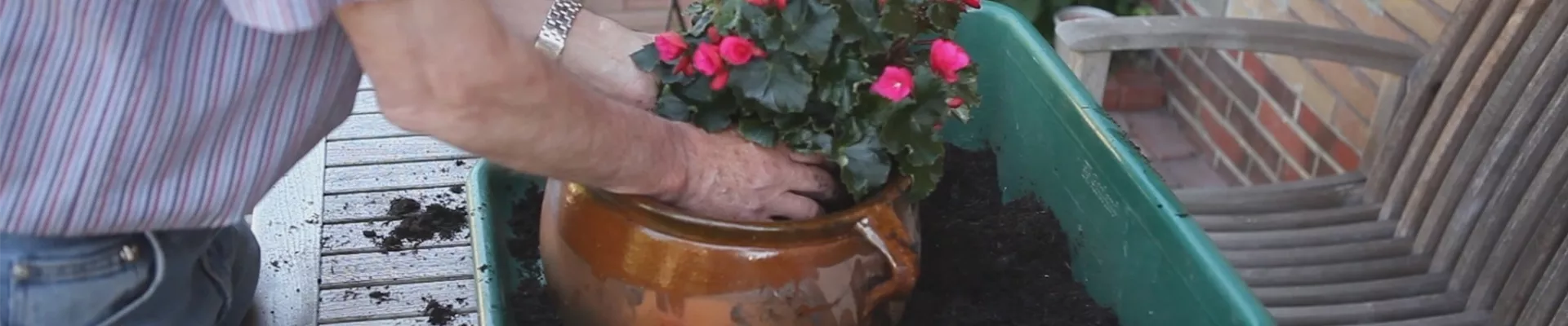 Blumenkübel - Bepflanzen mit mehreren Sommerblumen.jpg Blumenkübel - Bepflanzen mit mehreren Sommerblumen.jpg