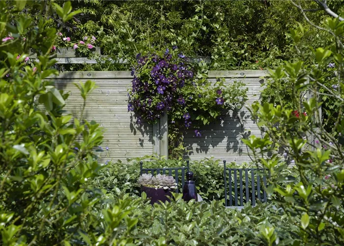 Nachbarn? Nein, danke! Der passende Sichtschutz für den Garten Nachbarn? Nein, danke! Der passende Sichtschutz für den Garten
